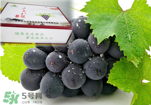 戶太八號葡萄什么時候套袋？戶太八號葡萄什么月份套袋？
