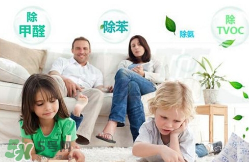甲醛0.3可以入住嗎？空氣凈化器能除甲醛嗎