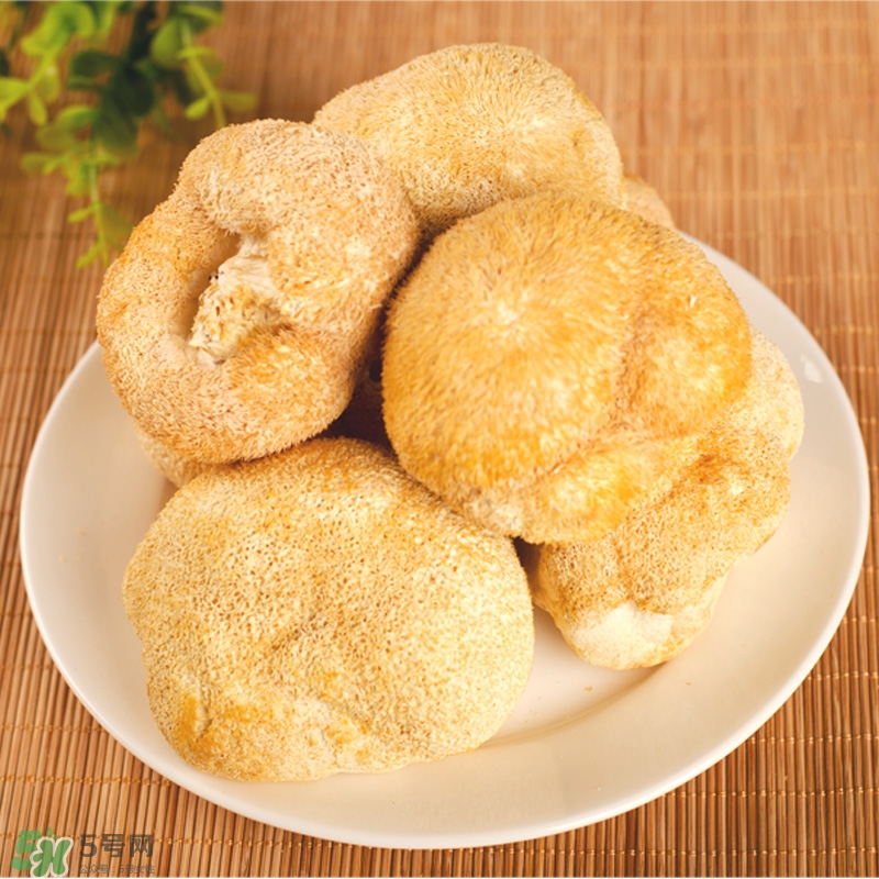 猴頭菇怎樣吃治胃??？猴頭菇能治胃病嗎？