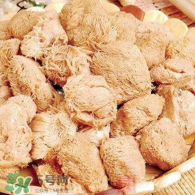 猴頭菇怎樣吃治胃?。亢镱^菇能治胃病嗎？