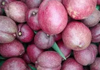 黑桃是什么水果？吃黑桃有什么好處？