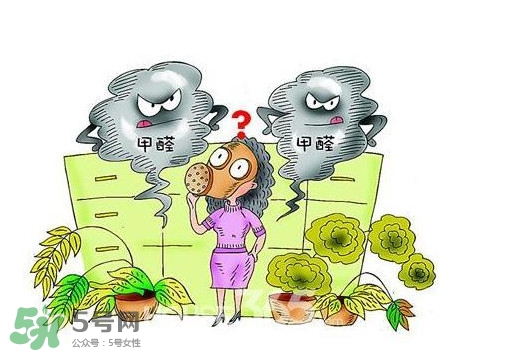 甲醛怎么治理？除甲醛最有效方法