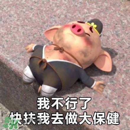 豬小屁表情包是什么？豬小屁表情包為什么這么火？