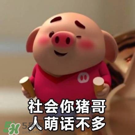 豬小屁表情包是什么？豬小屁表情包為什么這么火？