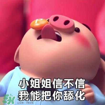 豬小屁表情包是什么？豬小屁表情包為什么這么火？