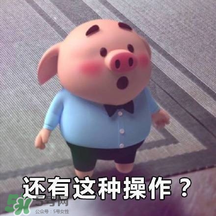 豬小屁表情包是什么？豬小屁表情包為什么這么火？