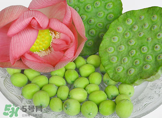 蓮蓬是水果嗎？蓮蓬是水果還是蔬菜？