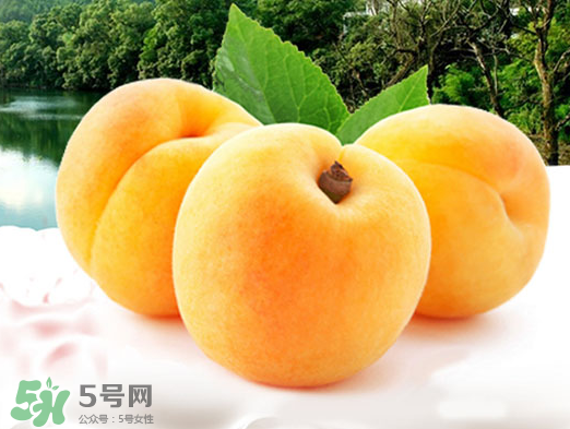 黃桃是酸性還是堿性？黃桃罐頭是酸性還是堿性？