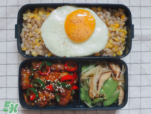 夏天用保溫盒帶飯會壞嗎？夏天能用保溫盒帶飯嗎？