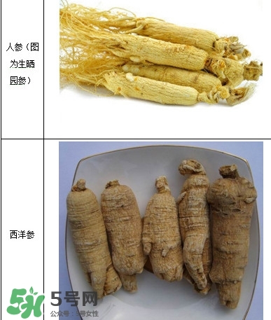 西洋參怎么吃效果最好？西洋參與人參的區(qū)別