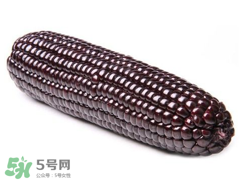 紫玉米會掉色嗎？紫玉米怎么會掉色？