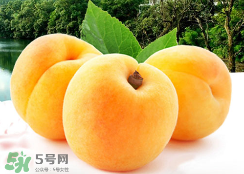 黃桃和水蜜桃哪個好吃？黃桃和水蜜桃的區(qū)別