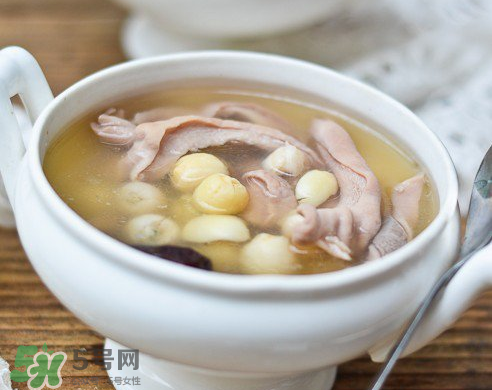 新鮮蓮子可以燉湯嗎？新鮮蓮子怎么煲湯？