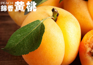 黃桃和香蕉能一起吃嗎？ 香蕉可以和黃桃一起吃嗎？