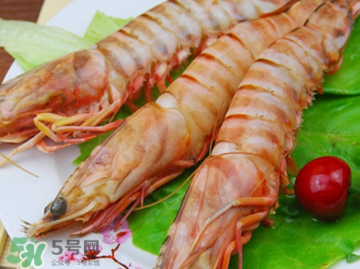 活的斑節(jié)蝦多少錢一斤？野生斑節(jié)蝦多少錢一斤