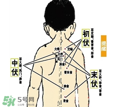 三九灸和三伏灸有什么區(qū)別？做完三伏灸要注意什么？