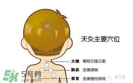 三伏灸灸哪里？三伏灸是每天都灸嗎