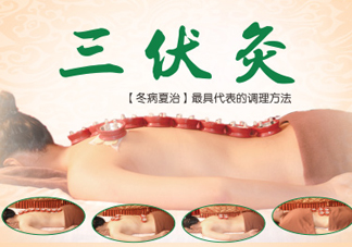 三伏灸灸哪里？三伏灸是每天都灸嗎