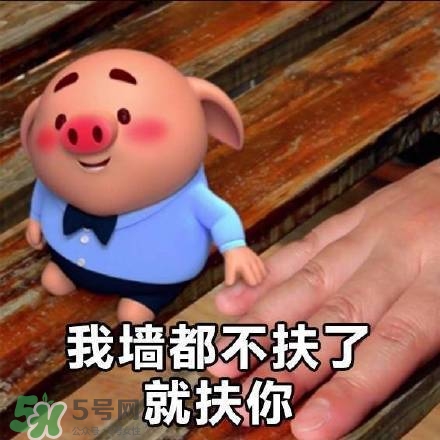 豬小屁表情包是什么？豬小屁表情包為什么這么火？
