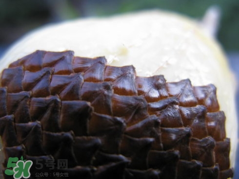 蛇皮果能生吃嗎？蛇皮果能放冰箱嗎？
