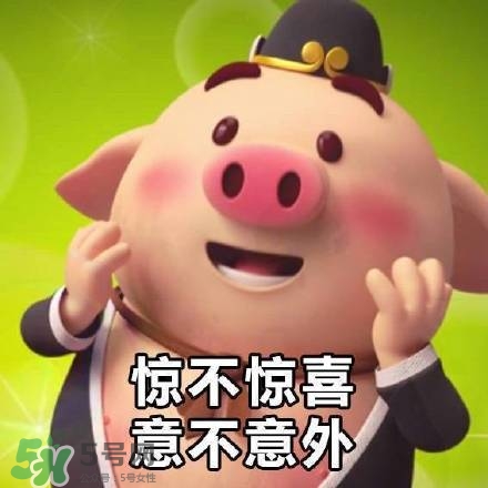 豬小屁表情包是什么？豬小屁表情包為什么這么火？
