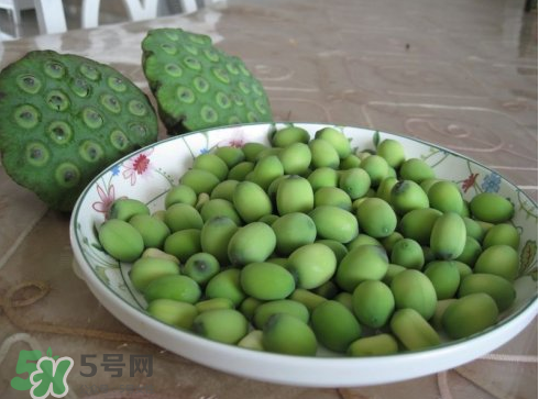 新鮮蓮子多少錢一斤？新鮮蓮子哪里有賣？