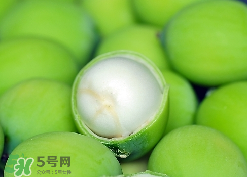 新鮮蓮子多少錢一斤？新鮮蓮子哪里有賣？
