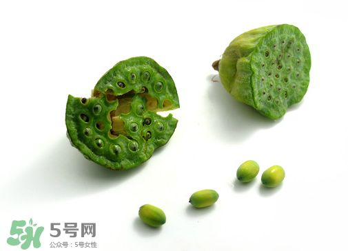 新鮮蓮子可以直接吃嗎？生蓮子可以直接吃嗎？
