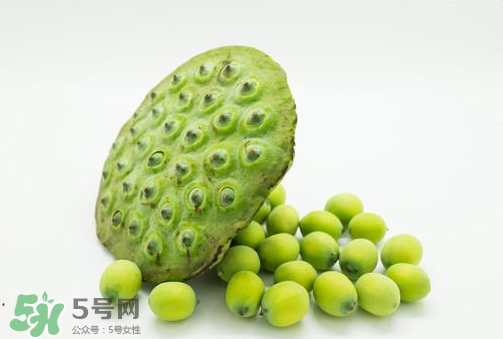 新鮮蓮子可以直接吃嗎？生蓮子可以直接吃嗎？