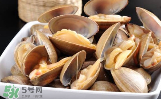 黃蜆子多少錢一斤？河蜆子多少錢一斤