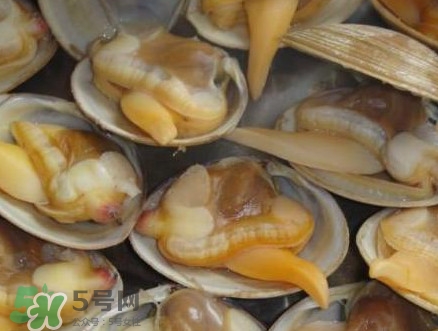 蜆子肉里白色長(zhǎng)條東西是什么？蜆子肉里面透明的能吃嗎