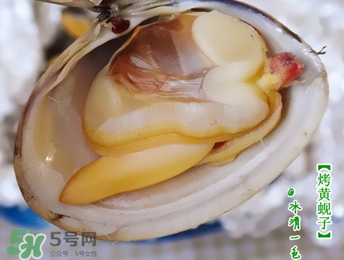 蜆子什么樣的是活的？蜆子開(kāi)口是死還是活
