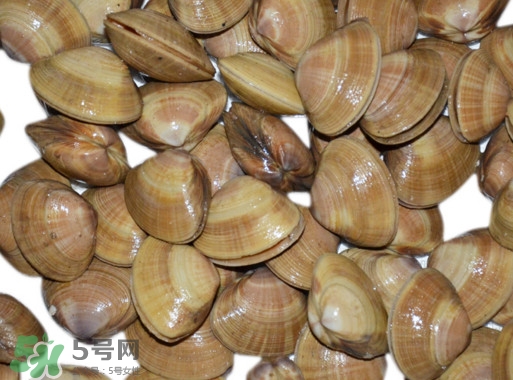 蜆子是花甲嗎？蜆子是海鮮嗎？