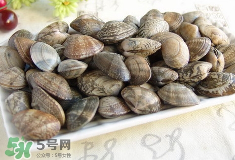 黃蜆子和花蜆子哪個好？黃蜆子和花蜆子的區(qū)別