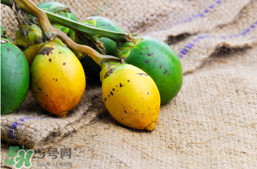 檳榔什么味道？正宗的檳榔是什么味道？