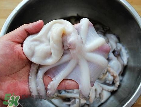 八帶魚怎么洗？八爪魚怎么處理干凈