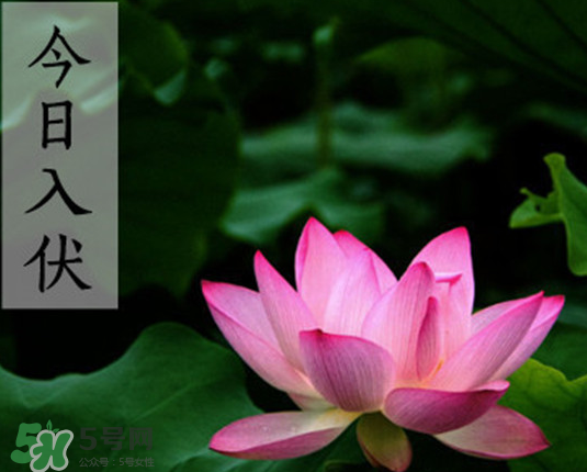 2017年頭伏是幾月幾號(hào)？2017年入伏第一天是幾月幾號(hào)？