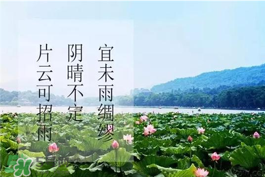2017年幾月幾號(hào)入伏？入伏是幾月幾號(hào)2017？
