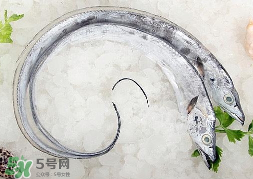 帶魚是深海魚嗎？帶魚是海鮮嗎