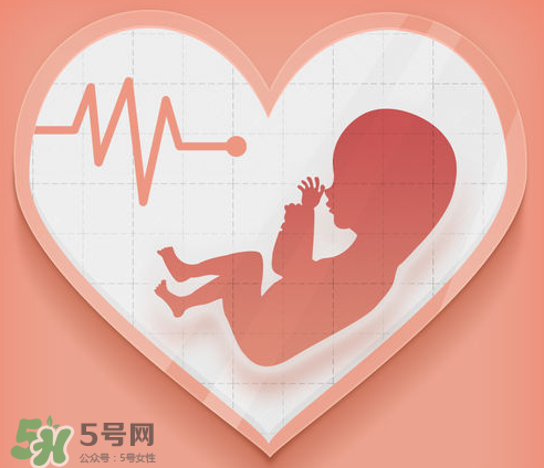 胎心儀可以天天用嗎？胎心儀的使用頻率