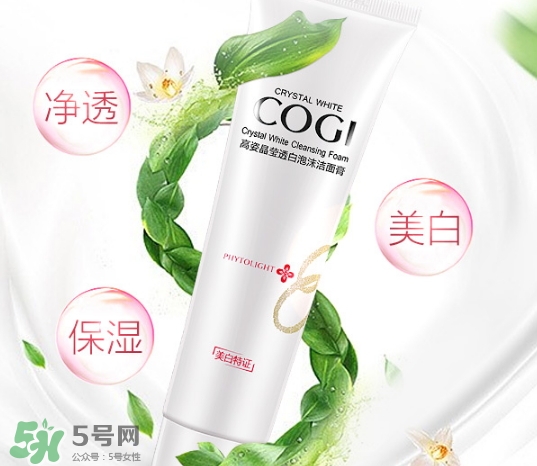高姿洗面奶多少錢(qián)？高姿洗面奶真假查詢