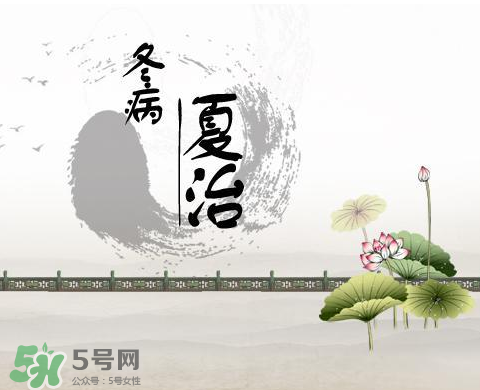 2017年三伏貼什么時候貼？2017年三伏貼貼幾天？