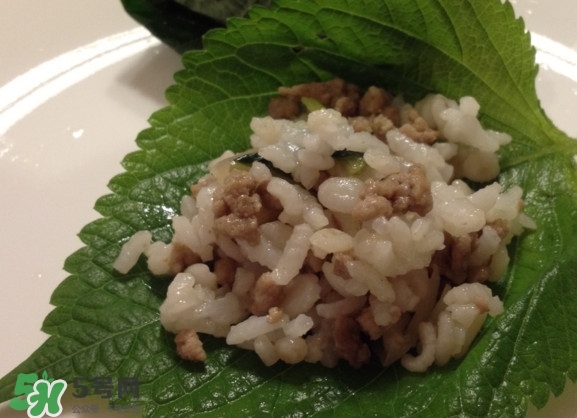 紫蘇和羅勒是一種東西嗎？紫蘇葉對(duì)人體有什么好處