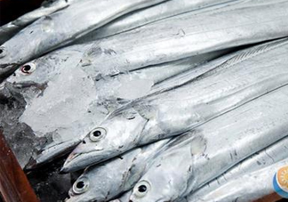 帶魚是深海魚嗎？帶魚是海鮮嗎