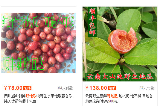 野地瓜哪里可以買到？哪個(gè)地方有種植野地瓜的