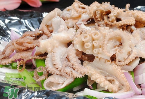 八爪魚是魷魚嗎？八爪魚是章魚嗎