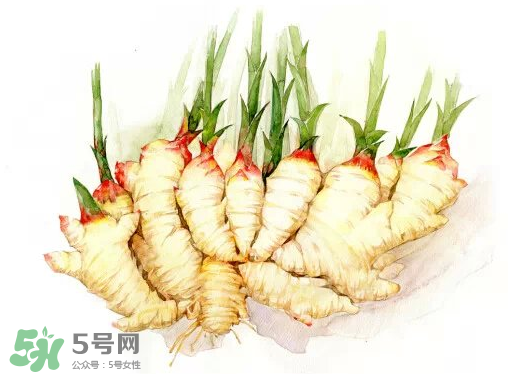 7月份可以種生姜嗎？生姜幾月份種植？
