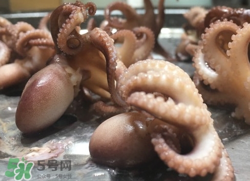 八爪魚怎么做好吃？八爪魚怎么保存