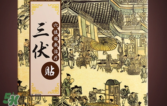 貼三伏貼可以游泳嗎？貼三伏貼游泳有什么壞處？