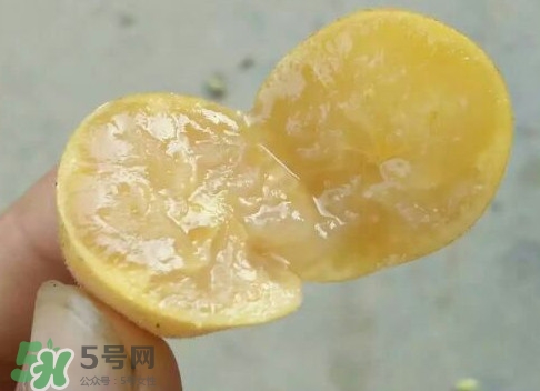 黃皮可以吃皮嗎？黃皮果可以帶皮吃嗎